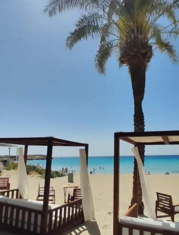 איה נאפה Nissi Golden Sands Sea View 2 Bedroom Apartment מראה חיצוני תמונה